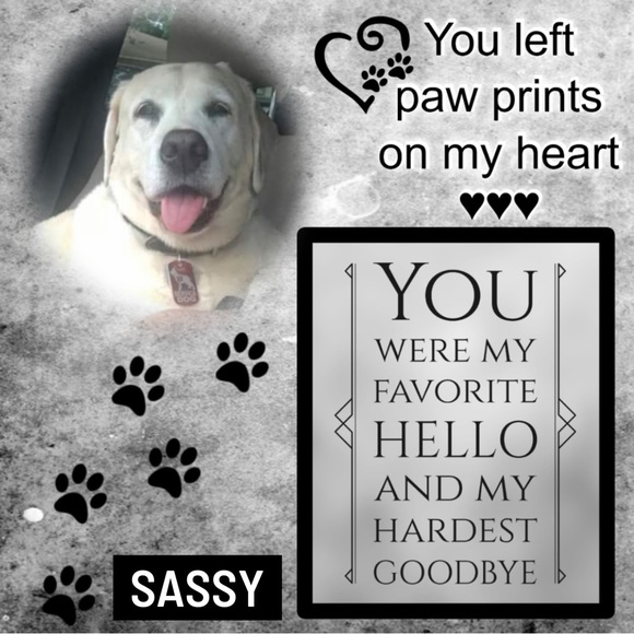 We are here to serve & spread God’s love. - Picture 15 of 15